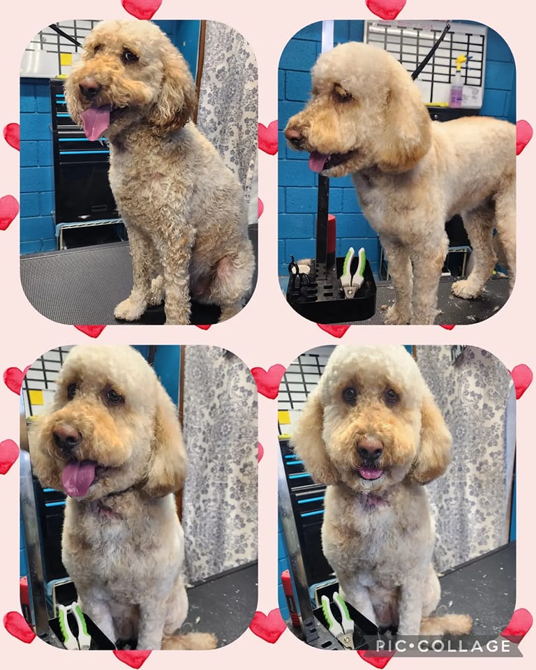 Buddy Sweets El Centro