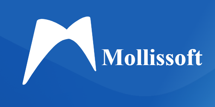 Mollissoft Inc