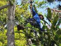 Bishop's Tree Services Inc