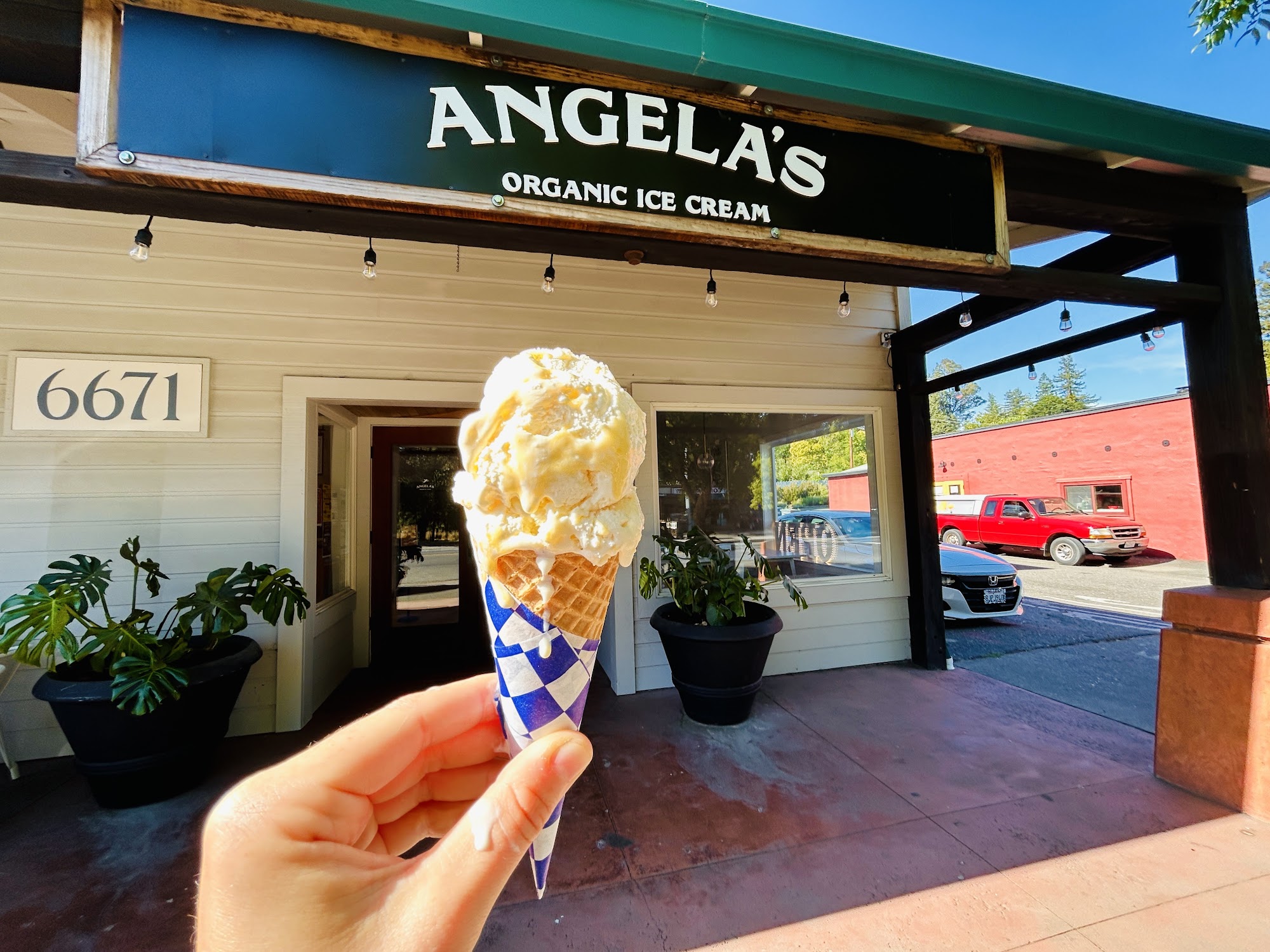 Angela's Organic Ice Cream