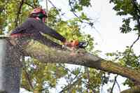 Planet Tree Service Inc.