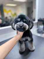 21Pooch Dog & Cat grooming salon