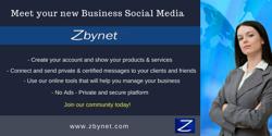 Zbynet Solutions Domain and Hosting Services