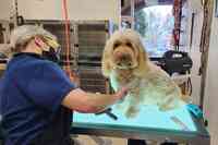 Bella's Grooming Boutique