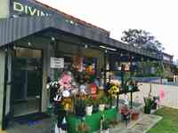 Divine Flower Shop
