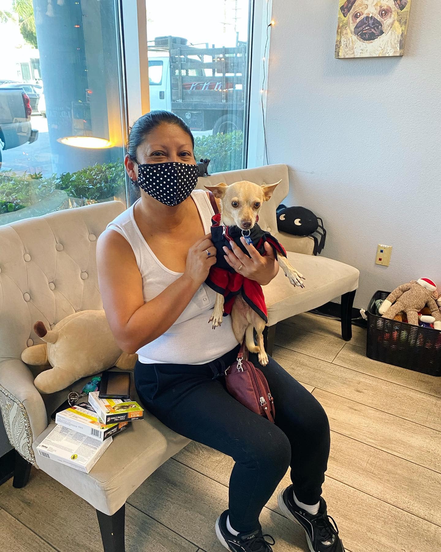 Pet Rescue Solutions South El Monte