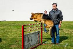 America’s Best Dog Trainers