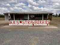 ARS Strawberries