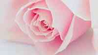 English Rose Day Spa