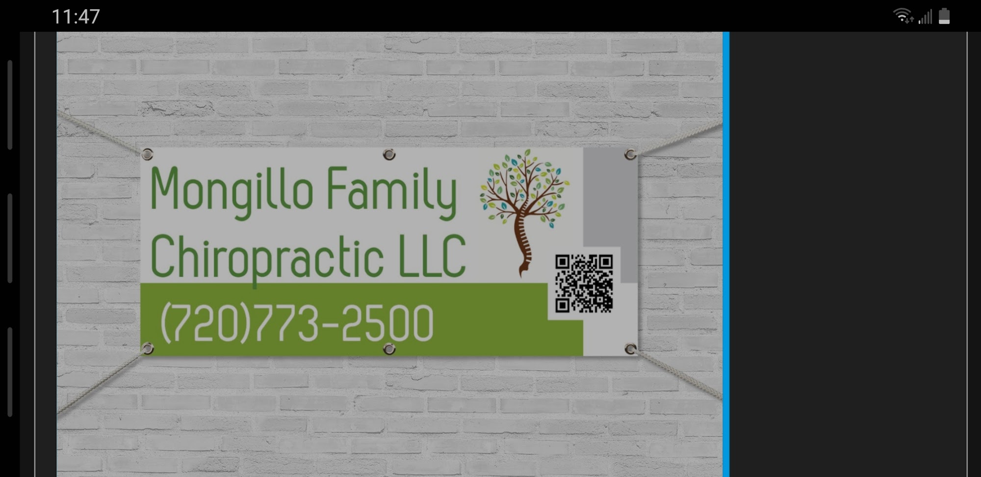 Mongillo Family Chiropractic LLC 11873 Springs Rd Unit 125, Conifer Colorado 80433