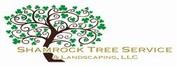 Shamrock Tree Services LLC