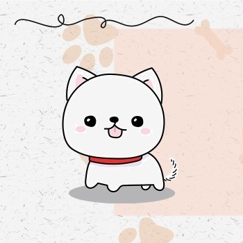 Clippers & Shears Grooming Bristol