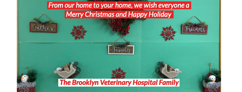 Brooklyn Veterinary Hospital 150 Hartford Rd, Brooklyn Connecticut 06234