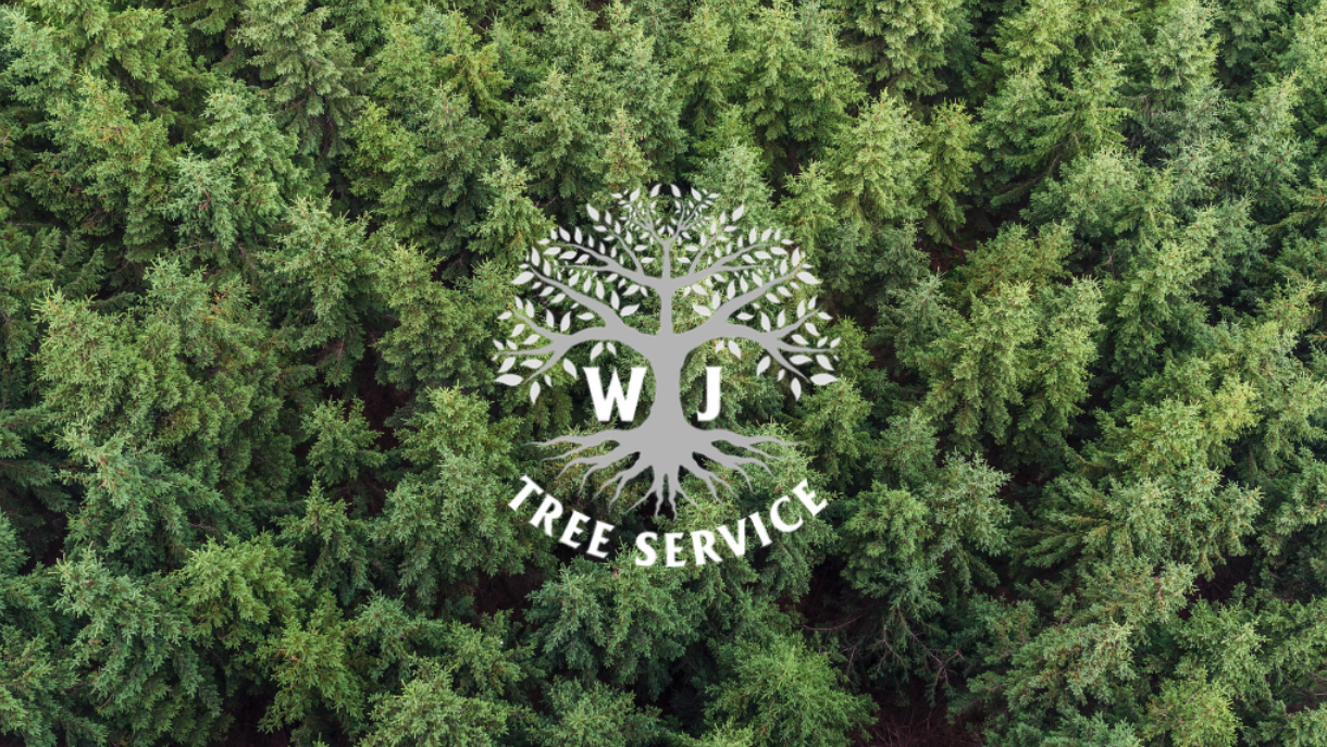 WJ Tree Service Inc 175 Whistletown Rd, East Lyme Connecticut 06333