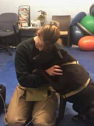 New England Canine Rehab