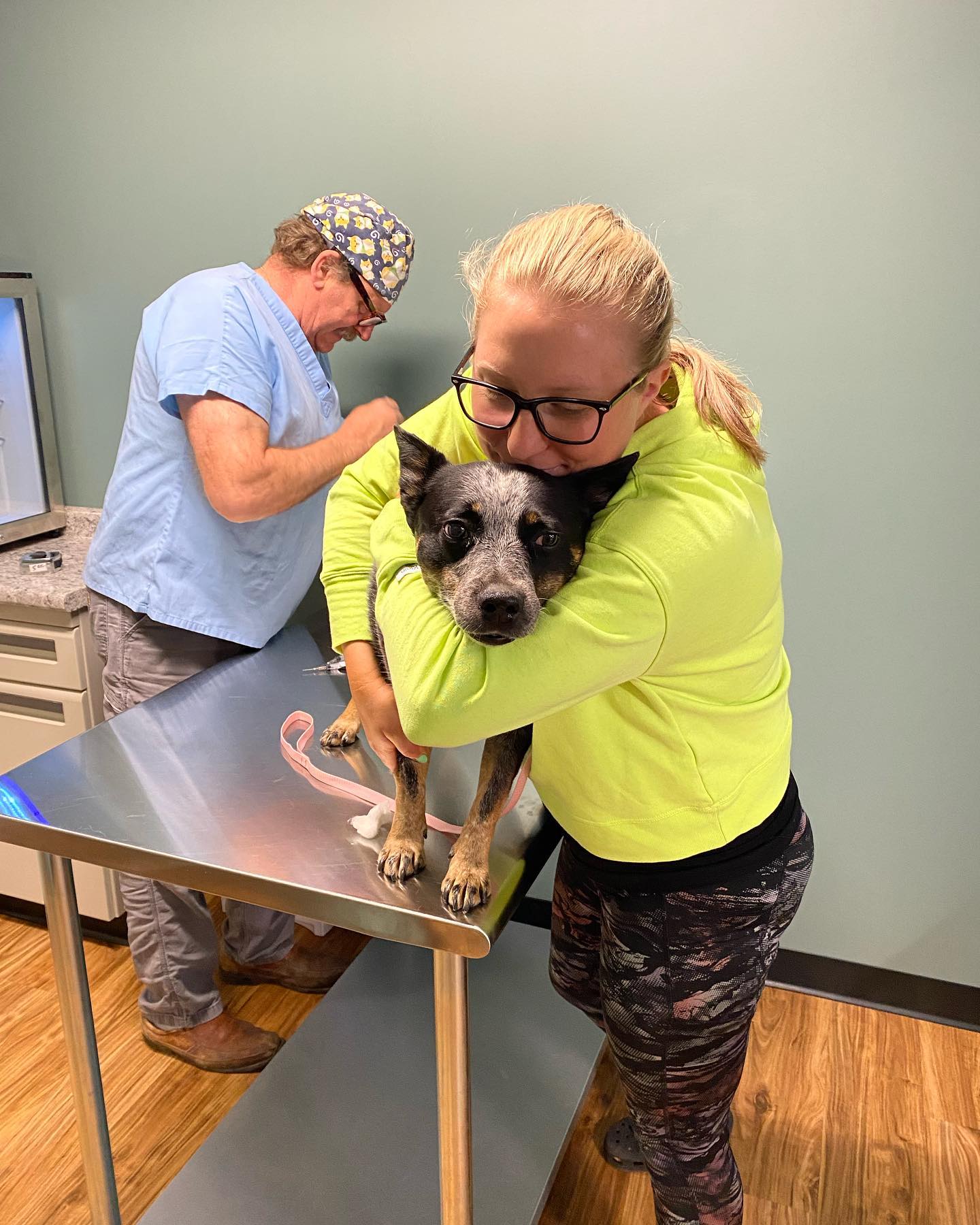 Stafford Veterinary Center 42 W Main St, Stafford Springs Connecticut 06076