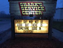 Shark's Service Center