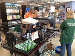Petsense by Tractor Supply