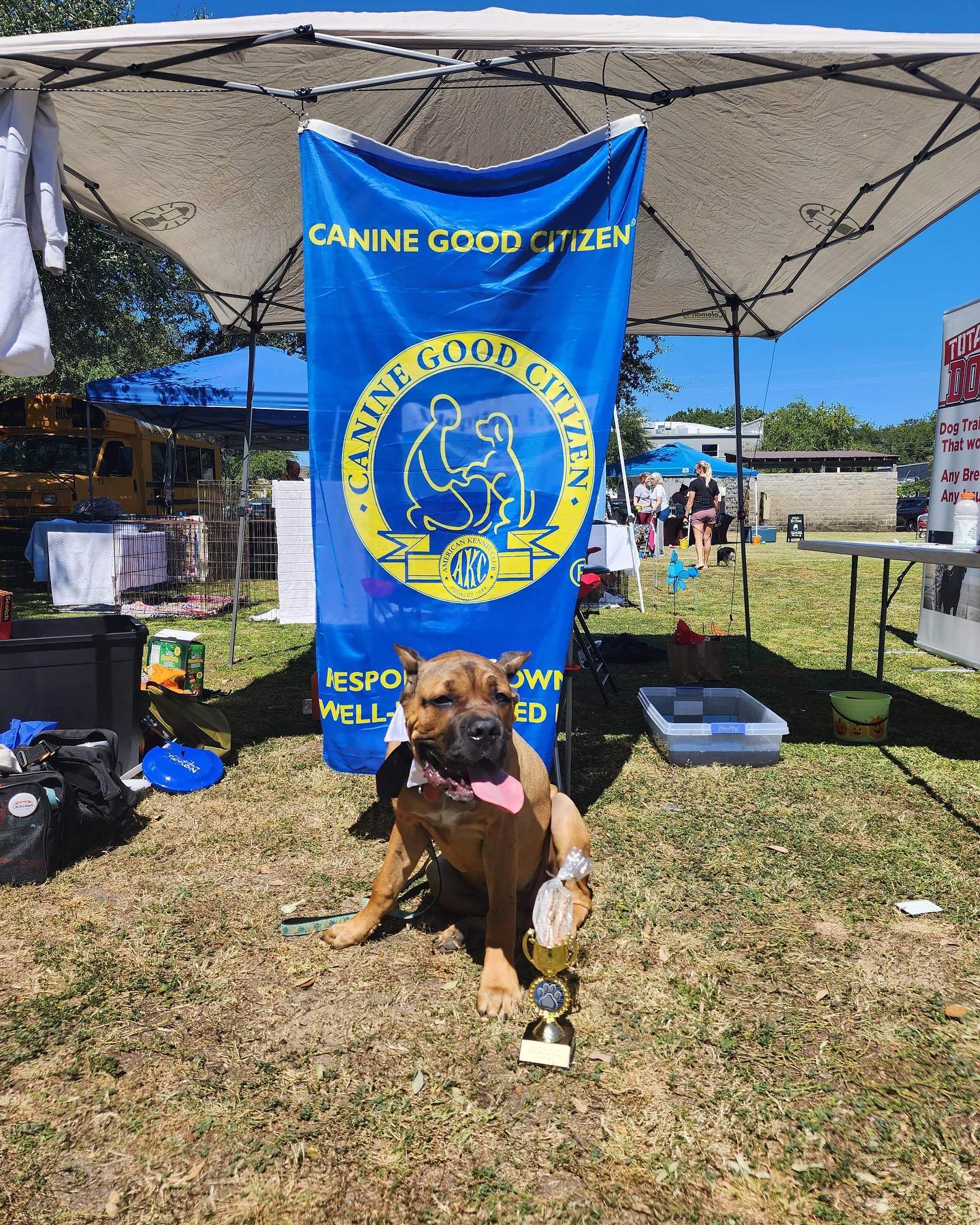 Total Dog Training Fort Walton Beach