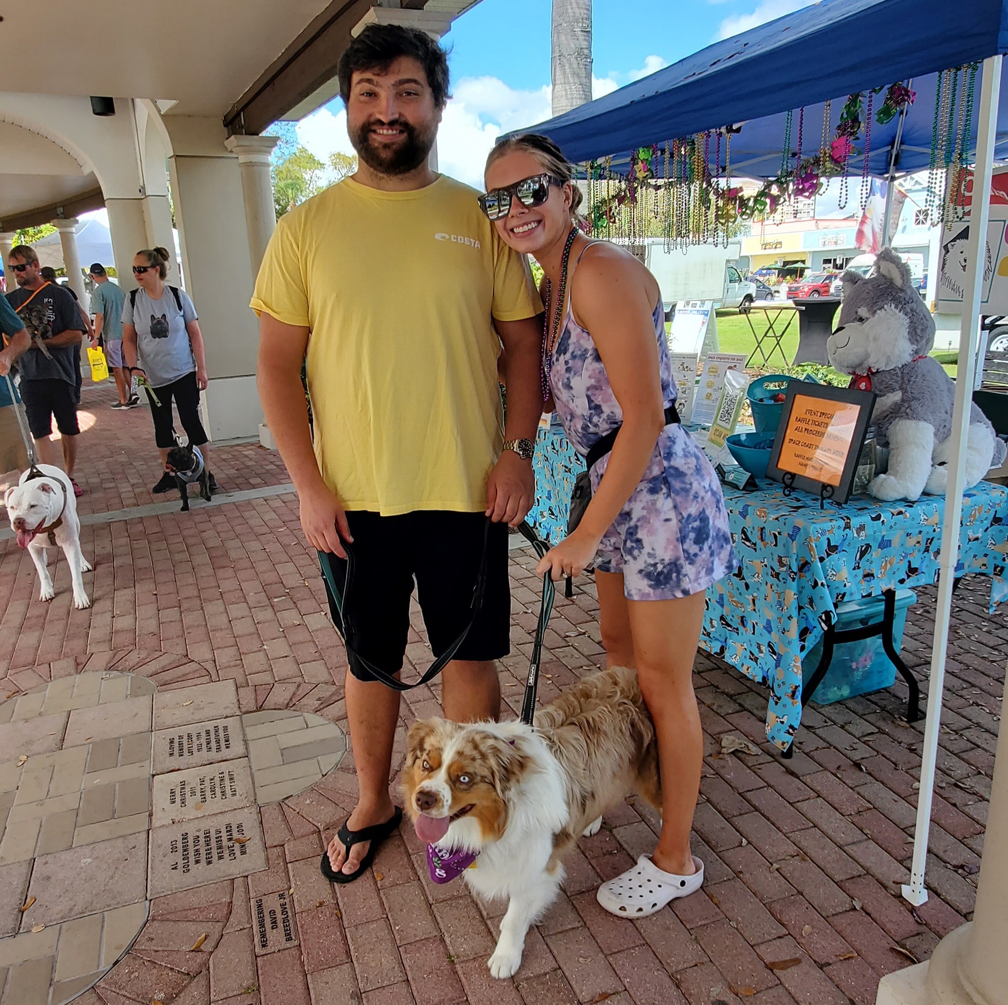 Canine Brains & Games LLC Merritt Island