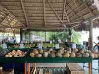 Tropical Village Farm Restaurant Market