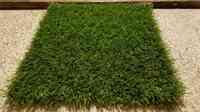 Prestige Artificial Turf