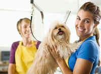 All Pets Grooming & Boarding