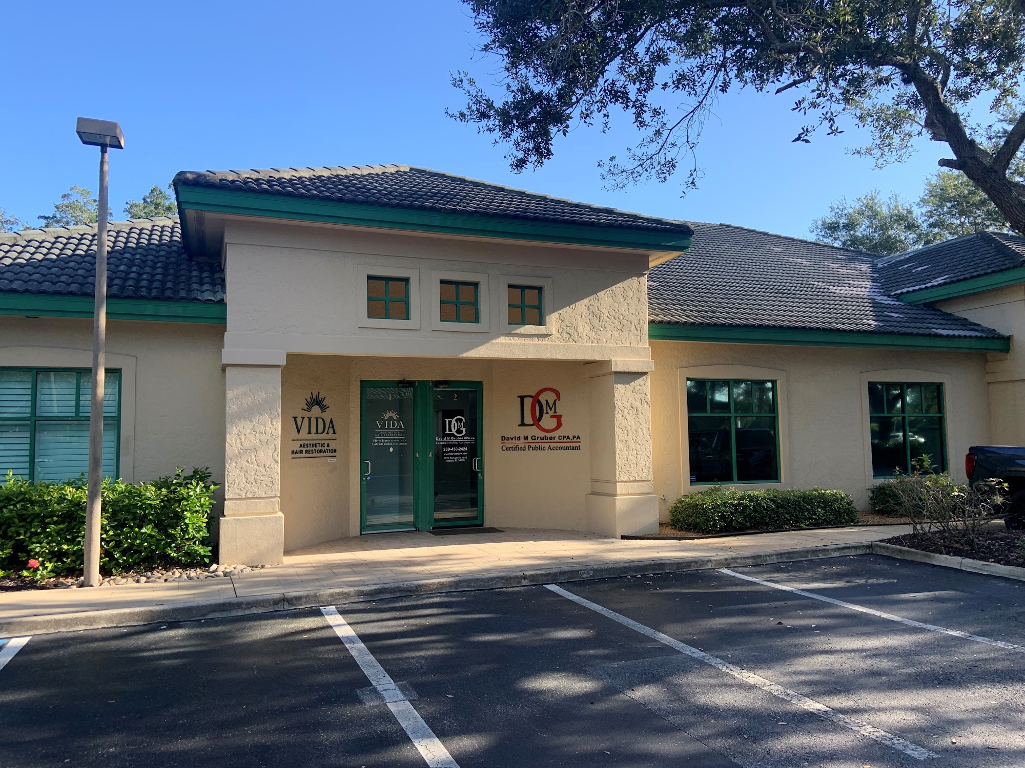 David M Gruber CPA PA