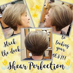 Shear Perfection Salon and Spa | Full Service Hair Salon