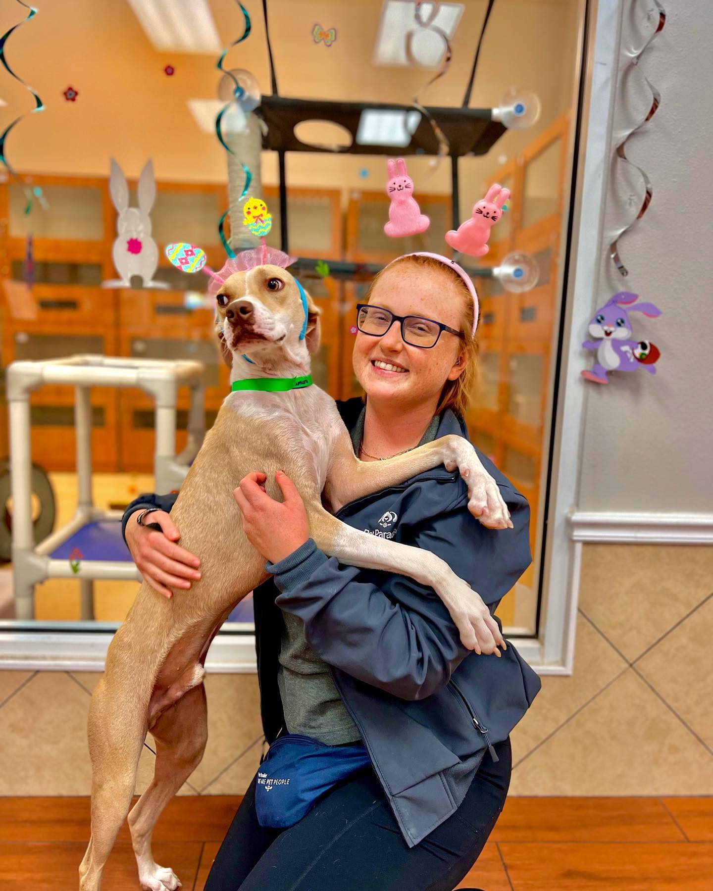 Pet's Paradise West Palm Beach