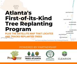Peachtree Arborists | Tree Service Network