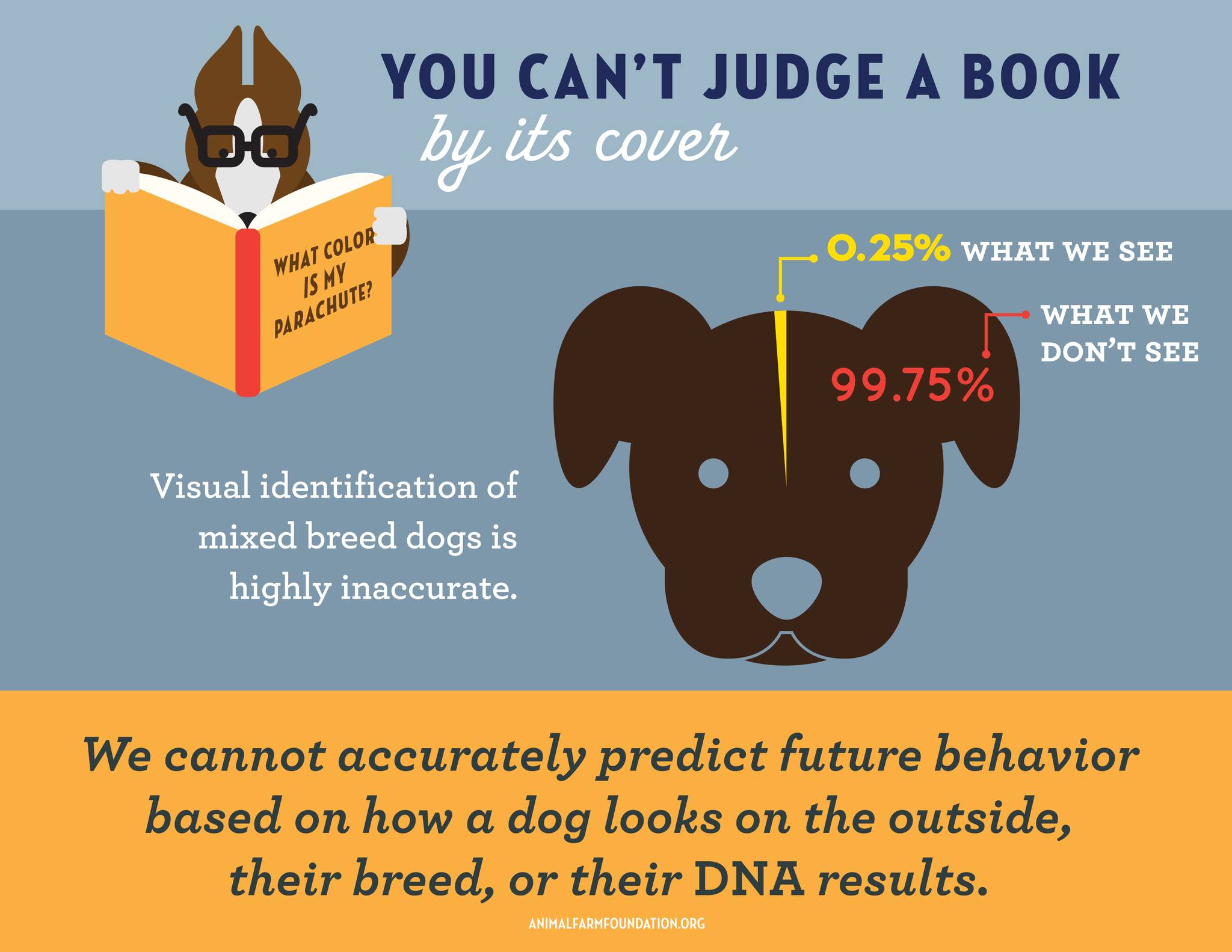 Cherokee County Animal Shelter Canton