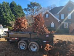 TNT LANDSCAPING LLC underbrushing and mulching and land clearing co.