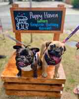 Puppy Haven - Downtown Roswell