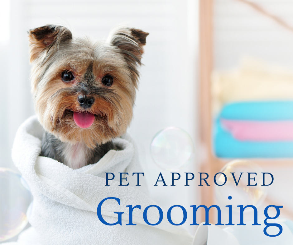 Twissted Whiskers Pet Hotel Suwanee