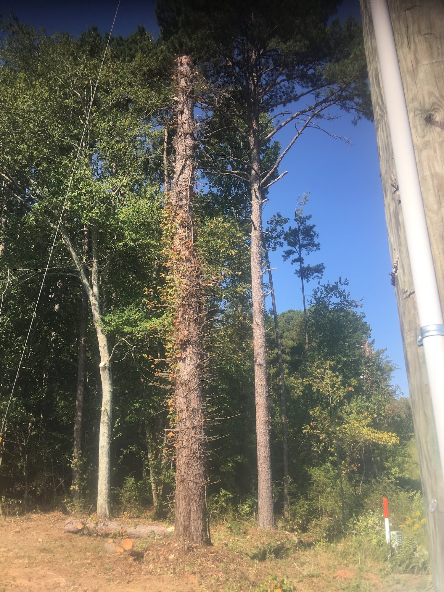 Top Notch Tree Services Inc 3151 GA-17, Toccoa Georgia 30577