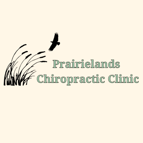 Tabor Chiropractic 706 Main St Suite A, Tabor Iowa 51653