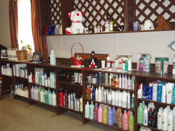 Kathy's Klassic Kuts 108 1st St, Vincent Iowa 50594