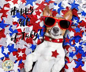 Shaggy Chic Grooming Boutique Waterloo