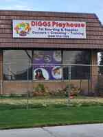 Diggs Playhouse LLC