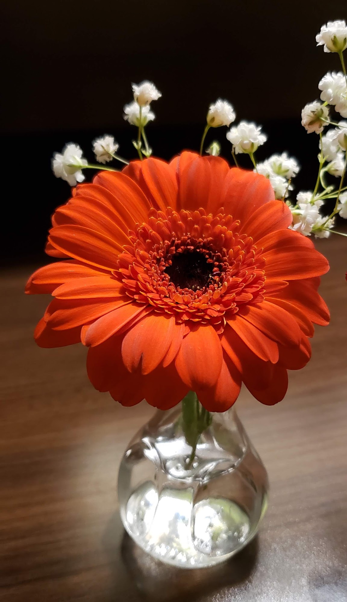 Graves Green Thumb Nursery Kooskia Idaho 