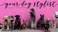 Your Dog Stylist- Monica Skogrand