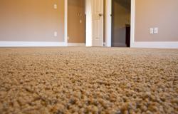 Pro-Clean Carpet & Upholstery Cleaning.