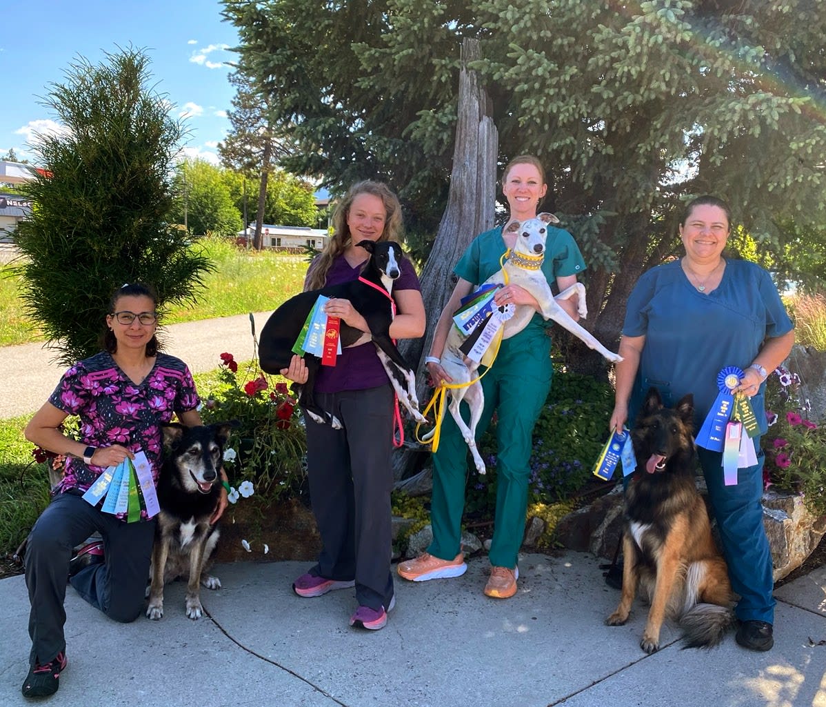 North Idaho Animal Hospital: Becker Marty DVM Sandpoint