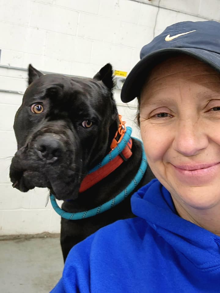 Canine Obedience College Alsip