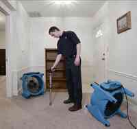 Tanin Carpet Cleaning, Water Damage, Mold Removal Arlington Hts
