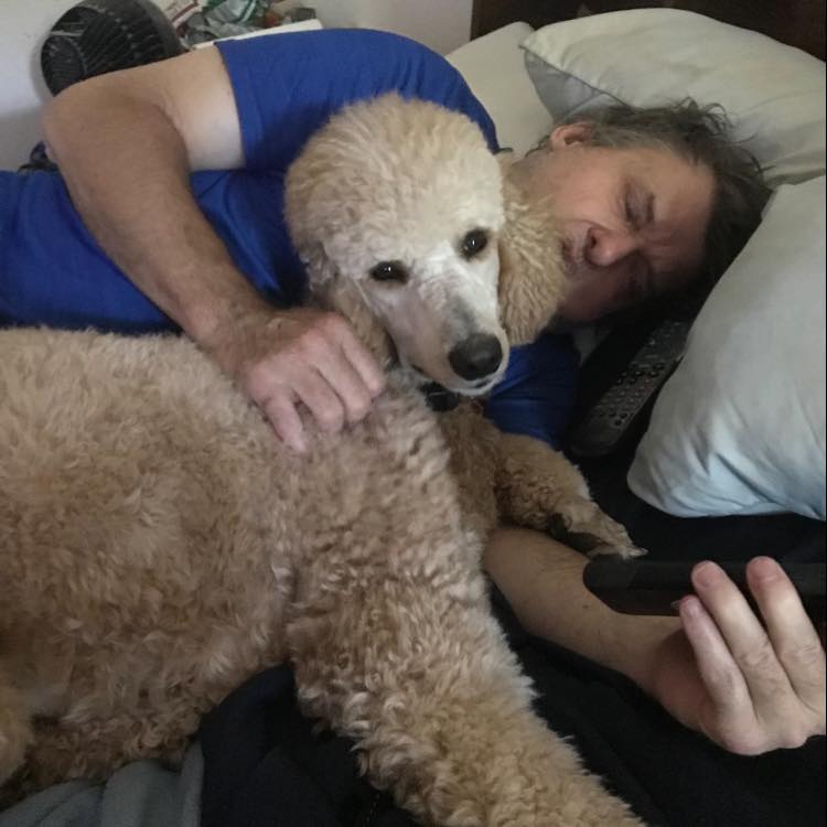 Happy Dog's Grooming Belleville