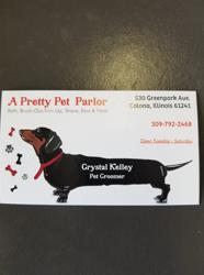 A Pretty Pet Parlor