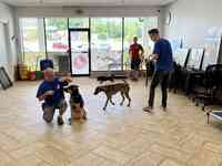 Dog Training & Grooming Downers Grove