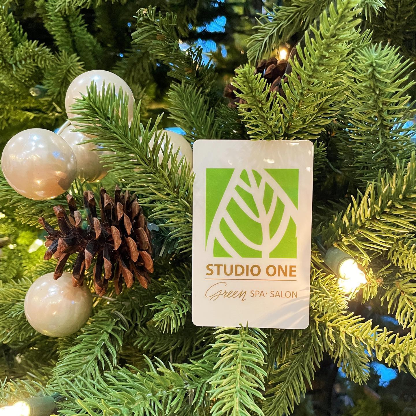 Studio One Green Spa and Salon 400 Wild Indigo Ln, Galena Illinois 61036